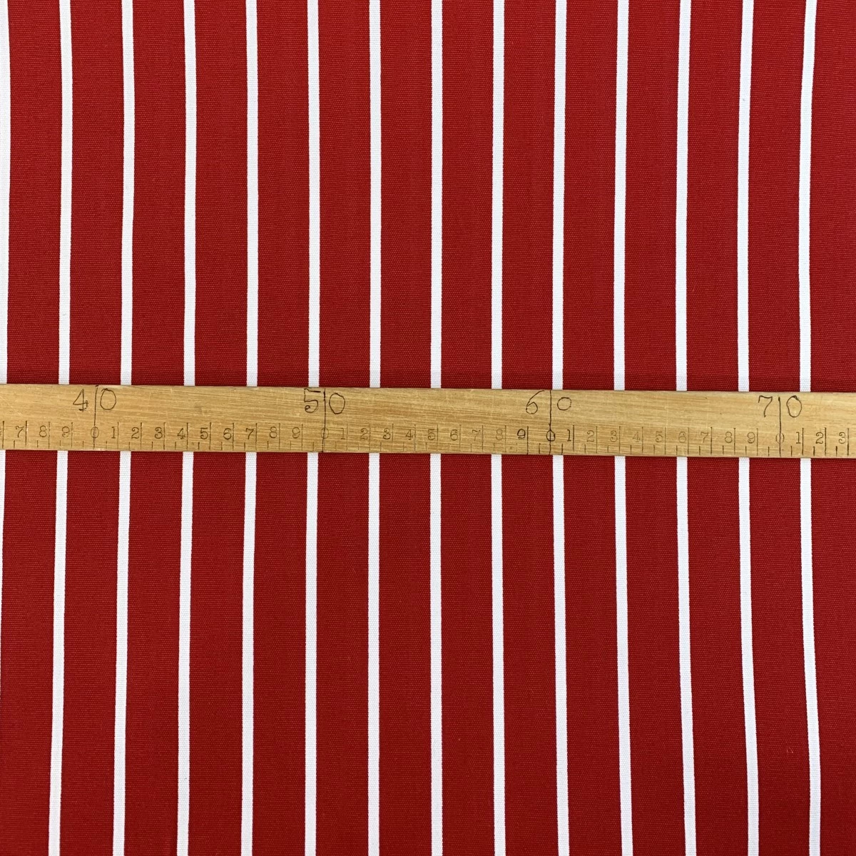 Canvas - Bone - Red 5 Canvas - Bone - Red - Image 3