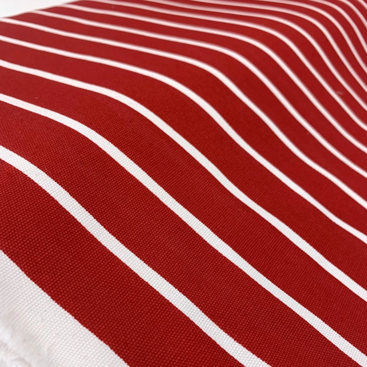 Canvas - Bone - Red 4 Canvas - Bone - Red - Image 2