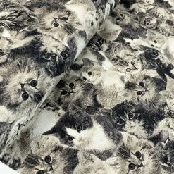 John Louden Canvas - Cats